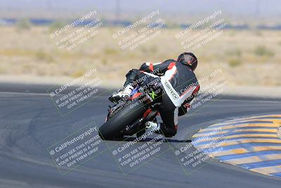 media/May-13-2023-SoCal Trackdays (Sat) [[8a473a8fd1]]/Turn 11 Backside (945am)/